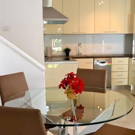 Apartment Club Olympus In Garden Playa de las Americas (Tenerife)
