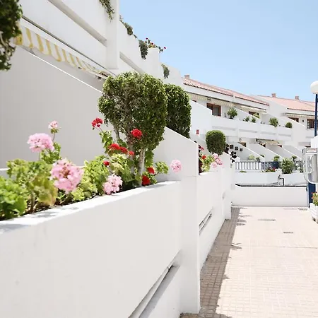 Club Olympus In Garden Apartment Playa de las Americas (Tenerife)